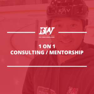 1 on 1 Consulting/Mentorship