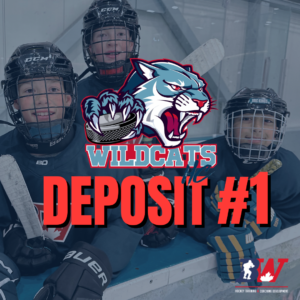 Spring Team - Partial Deposit $700 - First Payment Players