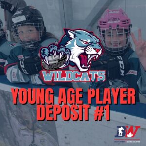 Spring Team 2018/2017/2016 - Partial Deposit $700 - Young Player