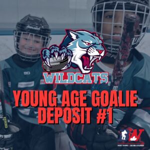 Spring Team 2018/2017/2016 - Partial Deposit $600 - Young Goalie