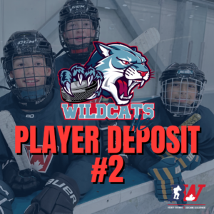 Spring Team - Second Deposit $550 - Players