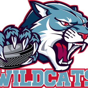 Wildcats ID Skates
